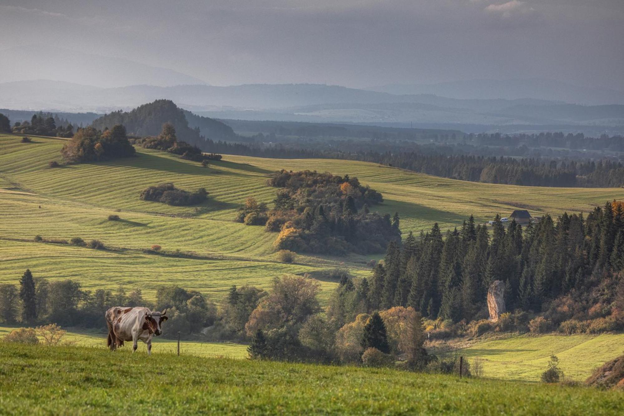 Forest Stodoly Krempachy エクステリア 写真